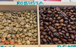 Giá cà phê hôm nay 18-11: Bật tăng dữ dội
