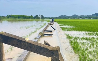 Mưa lớn kéo dài, nhiều xã ở Bà Rịa - Vũng Tàu cũ thiệt hại nặng nề