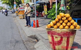 Khuyến cáo quan trọng của Sở An toàn thực phẩm TP HCM
