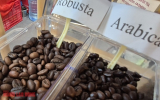 Giá cà phê hôm nay 19-11: Tiếp tục tăng cao