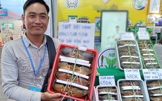 Lý do không phải ai cũng biết khiến cua Cà Mau được  ưa chuộng