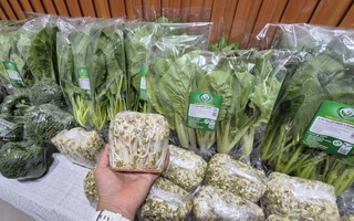 Trồng rau ở sân thượng và ban công chủ yếu để thư giãn, tự cung tự cấp