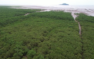 Giải pháp bền vững ứng phó biến đổi khí hậu