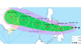 Bão Kalmaegi mạnh cấp 11, giật cấp 14, hướng vào khu vực nào của nước ta?