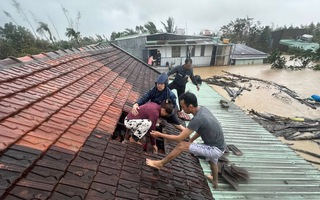 Thủ tướng: Ứng phó lũ đặc biệt lớn ở Khánh Hòa, Đắk Lắk và Gia Lai, đảm bảo tính mạng cho nhân dân