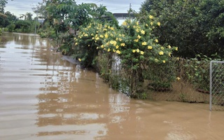 Mực nước trên sông Đồng Nai đang lên cao, cảnh báo ngập ở nhiều xã, phường