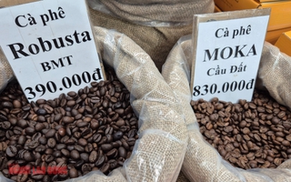 Giá cà phê hôm nay 22-11: Giảm mạnh khi Mỹ xóa thuế cho cà phê Brazil