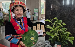 Rộn ràng khởi nghiệp ở vùng cao