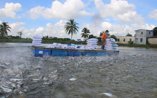 Phát triển bền vững ngành hàng chủ lực