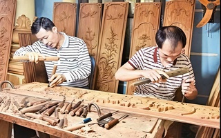 Nơi những đường vân kể chuyện