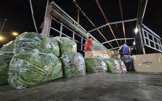 Những ngày chưa từng có của chợ đầu mối rau lớn nhất TPHCM