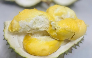 Loại sầu riêng bán 700.000 đồng/kg nhưng vẫn "cháy hàng"