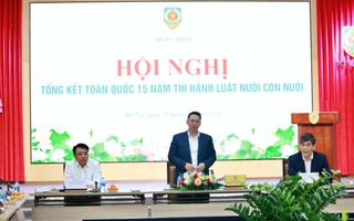 Hơn 4.700 trẻ em Việt Nam được giải quyết làm con nuôi ở nước ngoài