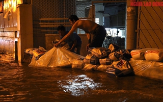 TPHCM: Cảnh báo triều cường trên sông Sài Gòn