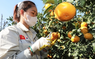 Lao động EPS cần chuẩn bị gì trước khi sang Hàn Quốc làm việc?