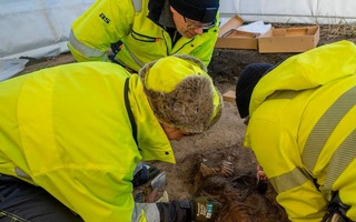 Mộ phần "công chúa Viking" 1.200 năm chứa điều không thể giải thích