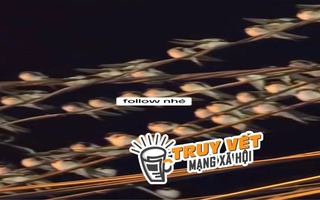 Ngành chức năng nói gì hiện tượng hàng ngàn con chim én đậu chằng chịt trên dây điện ở Cần Thơ?