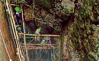 Yến sào Khánh Hòa tham gia cứu hộ, cứu trợ kịp thời cho bà con và CB-CNV vùng ngập lũ