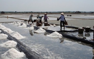 Hạt muối Lý Nhơn “vượt sóng”