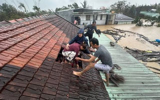 Thủ tướng: Các địa phương Nam Trung Bộ khẩn trương báo cáo thiệt hại về nhà ở do mưa lũ