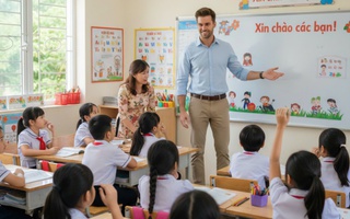 Đề xuất các trường hợp người nước ngoài vào làm việc tại cơ sở giáo dục Việt Nam