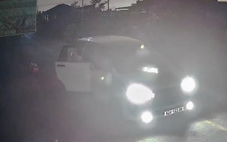 Vụ trộm chó bằng ôtô ở Tây Ninh: Bắt 1 đối tượng, mở rộng điều tra