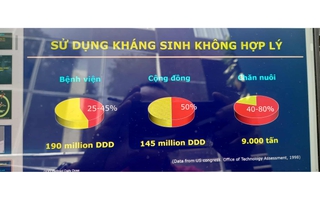 Giật mình với việc lạm dụng kháng sinh trong chăn nuôi
