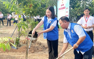 Trồng 500 cây xanh ở phường Chánh Hiệp, TPHCM