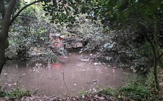 Thương tâm bé trai 5 tuổi ở TPHCM tử vong vì ao nước phía sau nhà trọ