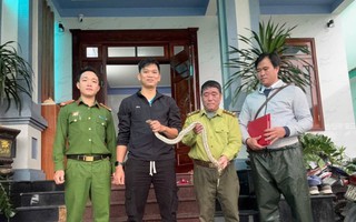 Nam thanh niên "đứng hình" khi bắt gặp con vật lạ bò qua đường