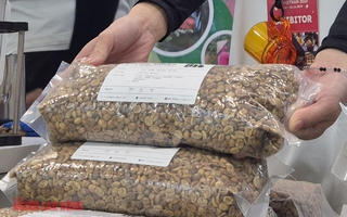 Giá cà phê hôm nay 3-11: Một loại cà phê nhân giá 650.000 đồng/kg