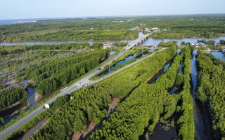 Cú hích từ ngày hội cua