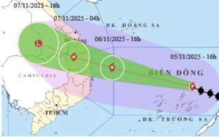 TP HCM yêu cầu các đơn vị trực chiến, sẵn sàng ứng phó bão Kalmaegi