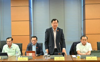 Người nước ngoài làm giám đốc doanh nghiệp nhà nước, có phải kê khai tài sản, thu nhập?