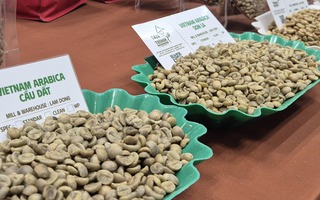 Giá cà phê hôm nay 6-11: Hàng giao ngay lại nóng