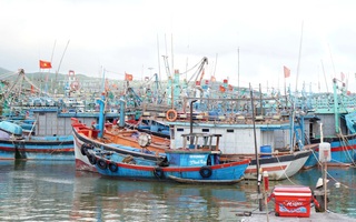 Bão số 13 - cơn bão "hết sức bất thường"