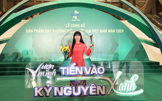 Yến sào Khánh Hòa: Từ tổ yến thô đến danh xưng “Yến Vua” trên thị trường quốc tế