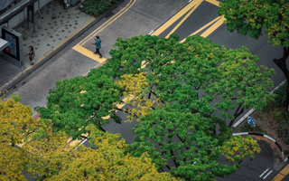 Bài toán 1,3 ngàn tỉ USD của Liên hợp quốc