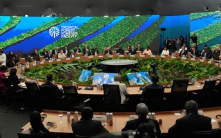 Sáng kiến mới về bảo vệ rừng