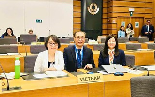 Việt Nam tham dự Phiên họp của Ủy ban Kỹ thuật thường trực của Tổ chức Hải quan thế giới