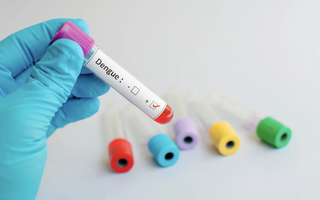 Viện Pasteur TP HCM thử nghiệm vắc-xin sốt xuất huyết trên 4.000 người Việt