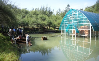 Tháp Chăm cổ ngập úng, Phó Chủ tịch UBND TP Huế phê bình đơn vị quản lý