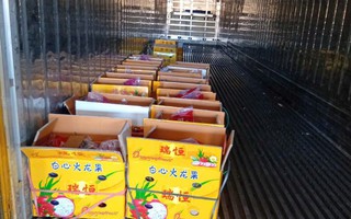 Nhiều tài xế container tố bị “bẫy” khi chở thanh long sang cửa khẩu