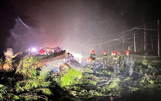 Bão số 13 Kalmaegi càn quét Đắk Lắk: 2 người tử vong, hàng trăm nhà tốc mái