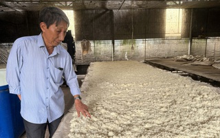 Rượu Hòa Long thơm cay nồng nàn