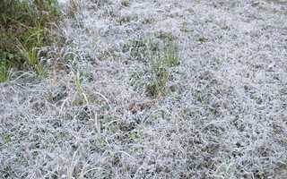 Băng giá phủ trắng đỉnh núi khi nền nhiệt giảm dưới 0°C