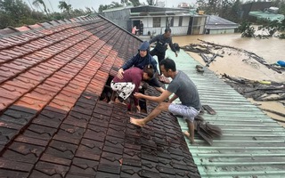 Thủ tướng phát động "Chiến dịch Quang Trung" thần tốc xây lại nhà cho người dân miền Trung