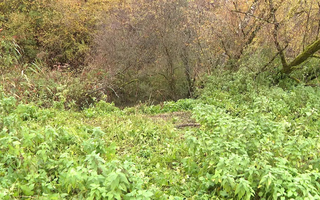 Án mạng rúng động ngôi làng nhỏ ở Pháp