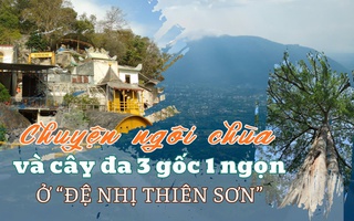 Chuyện ngôi chùa và cây đa 3 gốc 1 ngọn trên đỉnh "đệ nhị thiên sơn”