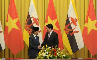 Thúc đẩy thương mại, đầu tư Việt Nam - Brunei